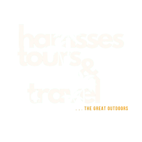 compressed transparent hamsses logo